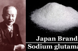 【Japan Brand×グルタミン酸ナトリウム/味の素】甘酸塩苦に次ぐ第五の味覚うま味調味料を開発